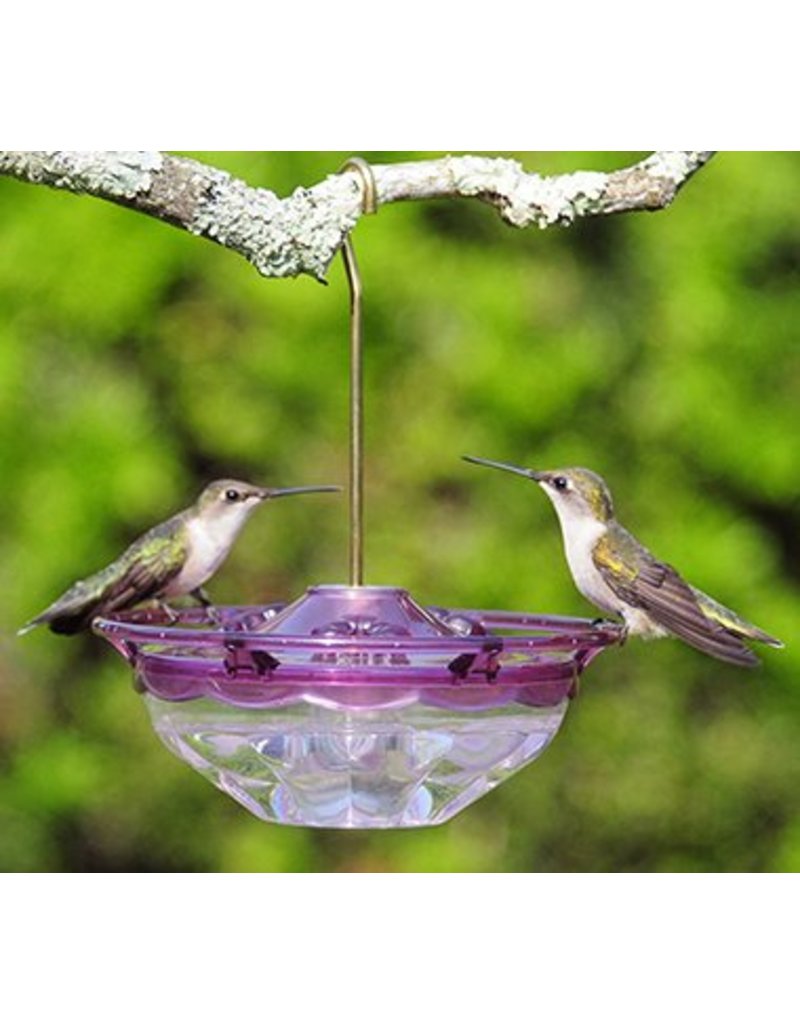 Aspects Hummingbird Feeder Humm Blossom Plum 4oz Aspects434
