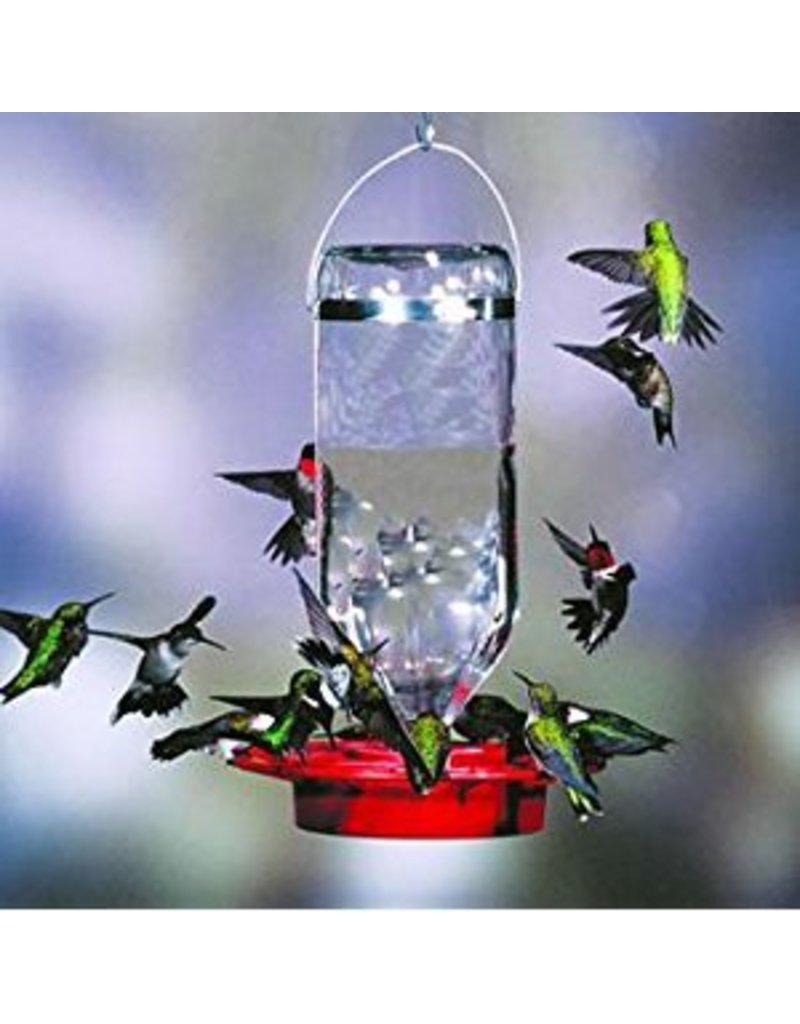 Hummingbird Feeder 8oz Glass Bottle Best8 Raven Tree Wild