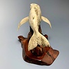 Harmony - The Humpback Whale Carved from Fossilized Walrus Jawbone Sculpture #227