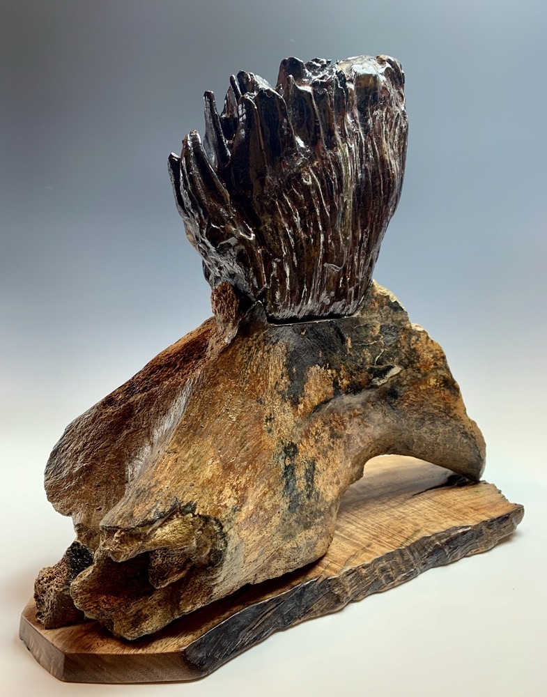 Fossilized Mammoth Molar #305