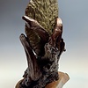 Trilobite Fossil on Rosewood #303 - SOLD