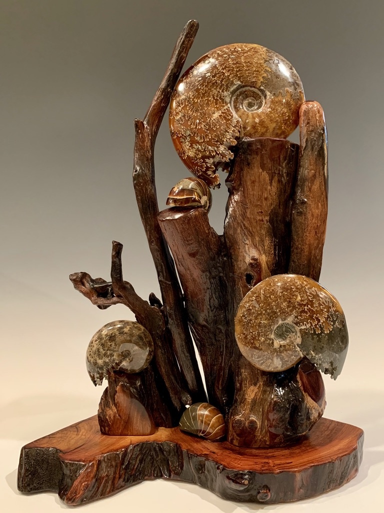 Ammonite and Rosewood #321 - SOLD