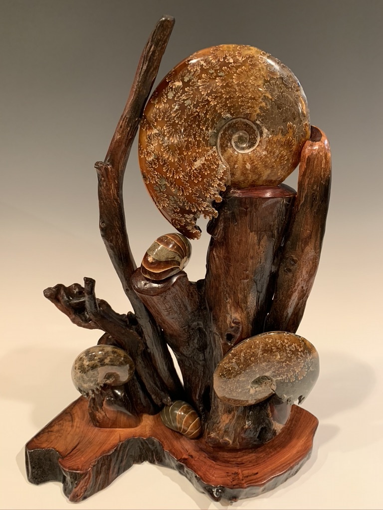 Ammonite and Rosewood #321 - SOLD