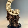 Mammoths - Alaskan Dall Sheephorn Sculpture #394-SOLD