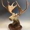 Moose - Marble Sculpture #393 - SOLD