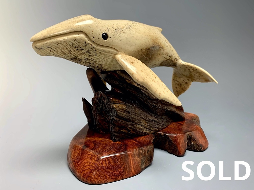 Helen - The Humpback Whale Carved from Fossilized Walrus Jawbone Sculpture #228