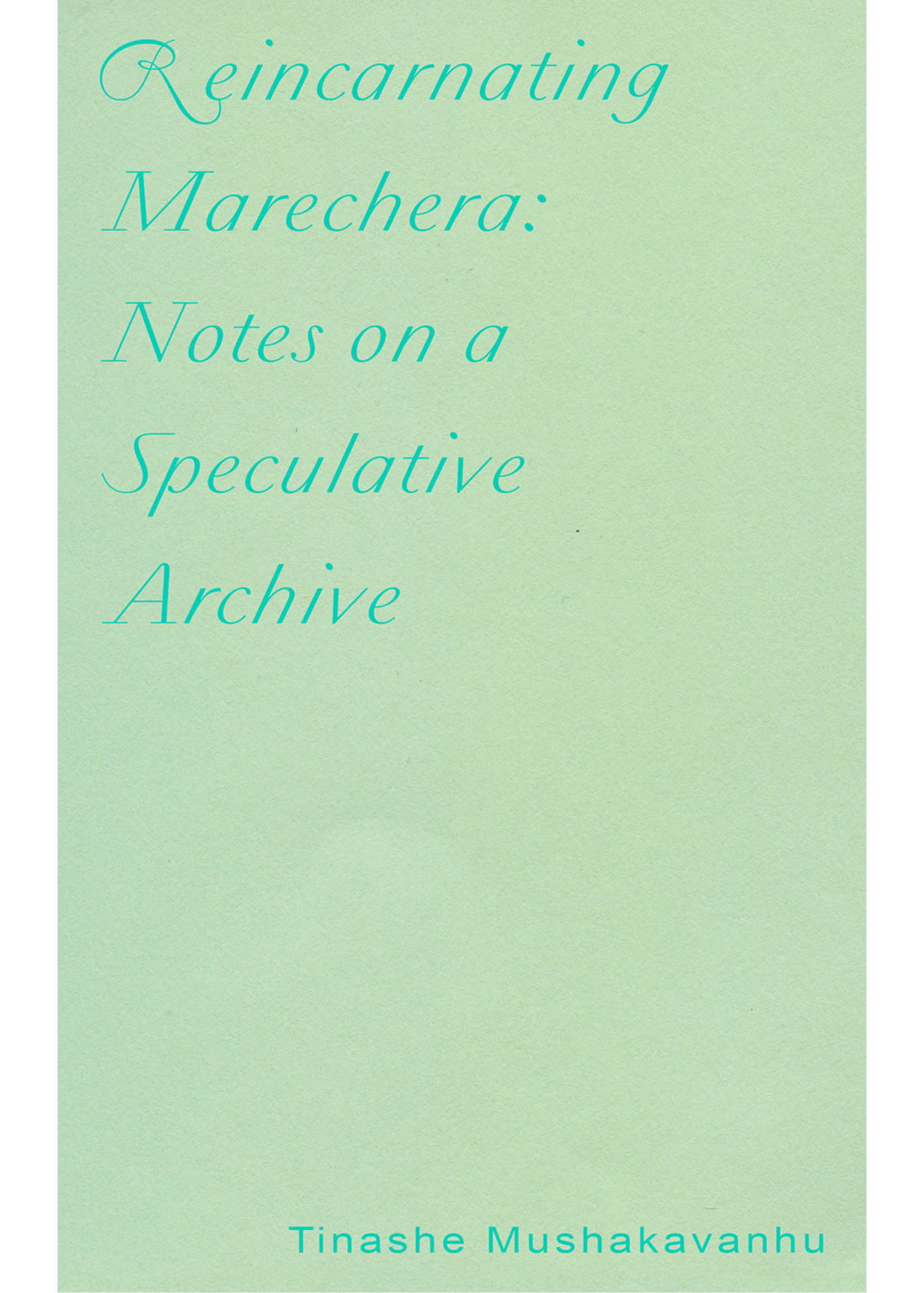 Ugly Duckling Press Reincarnating Marechera: Notes on a Speculative Archive