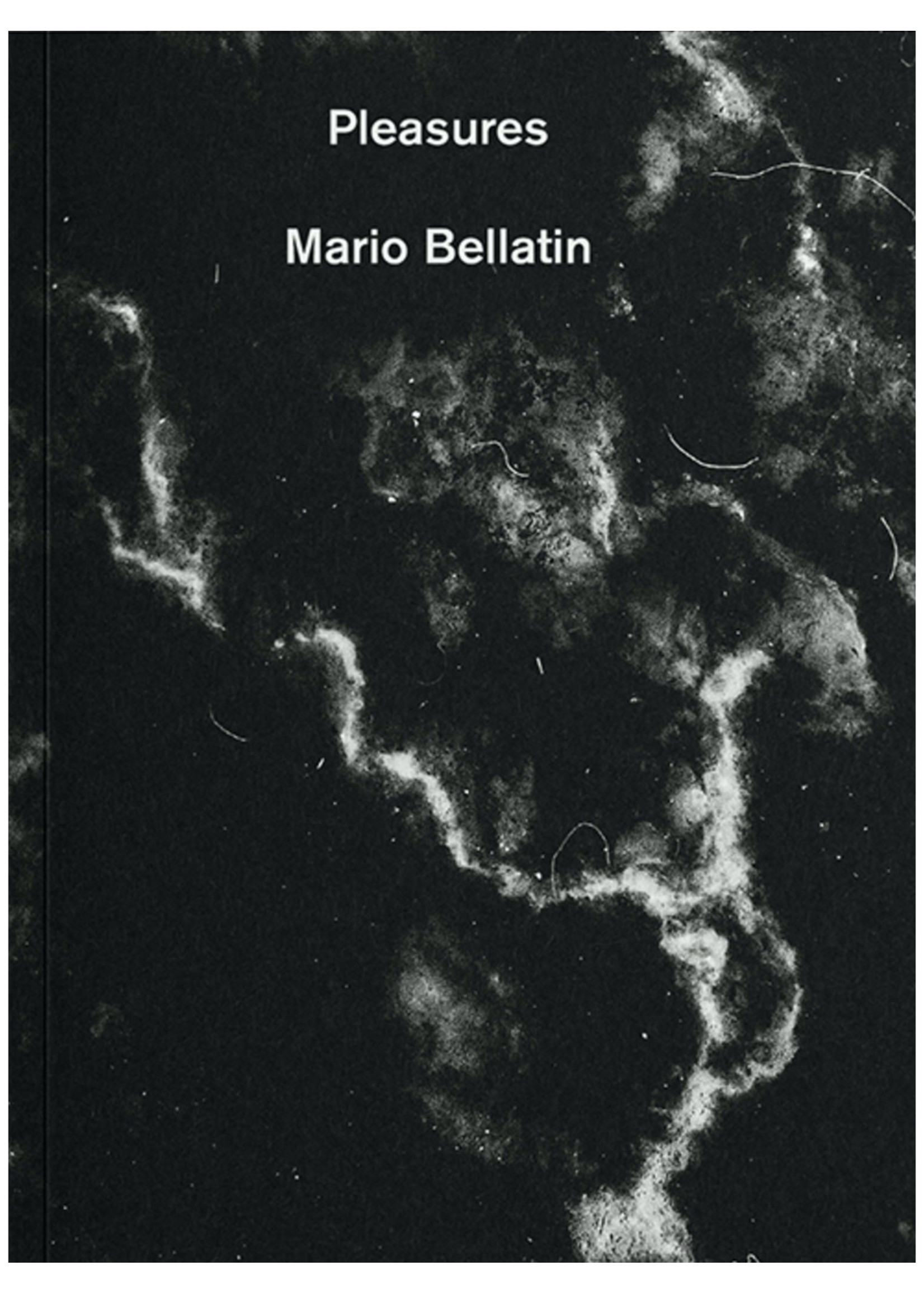 Gato Negro Ediciones Pleasures by Mario Bellatin