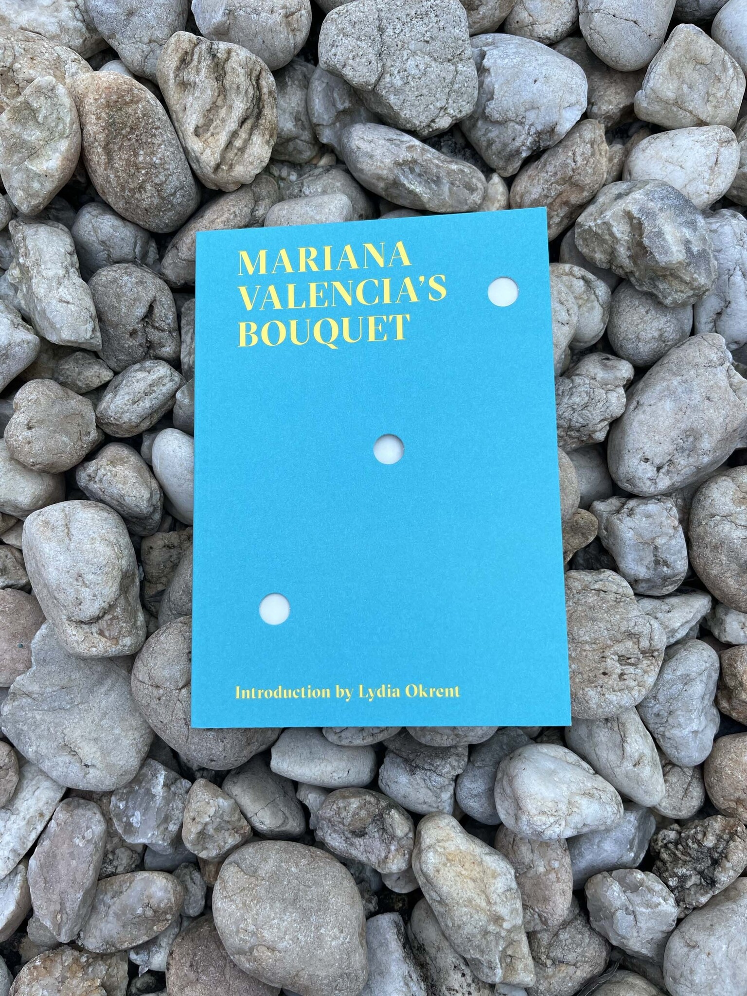 Mariana Valencia's Bouquet ICA at VCU