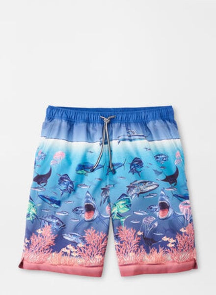 Peter Millar Peter Millar Swim Trunks