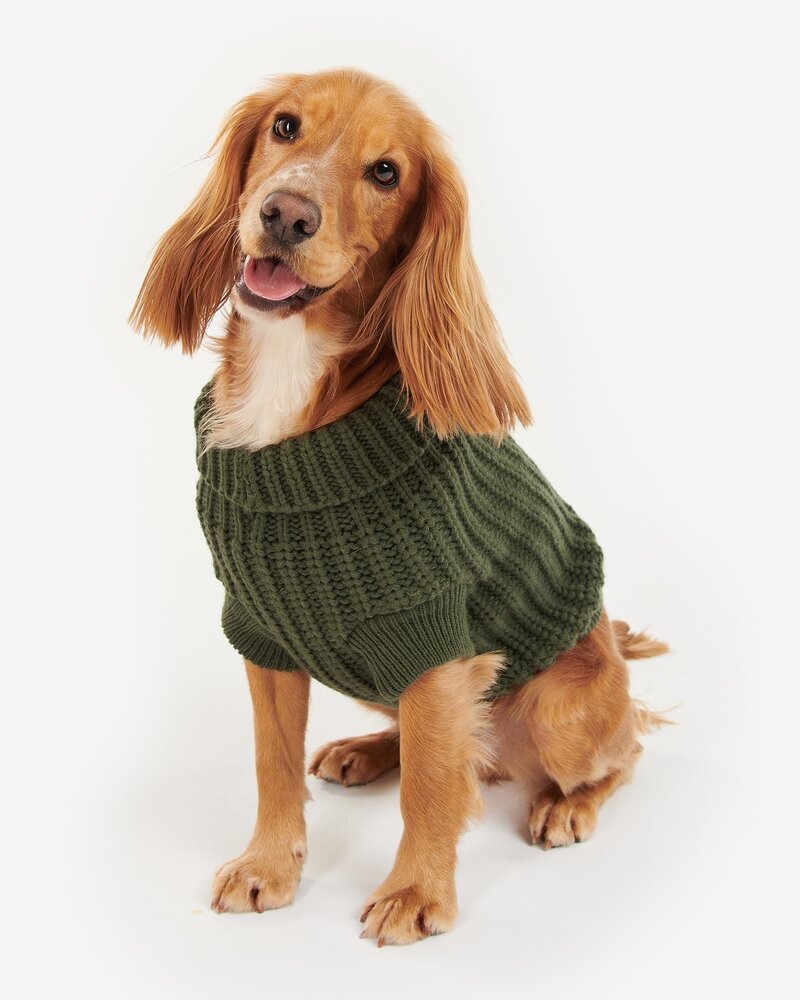 Barbour US for Men & Women Barbour Dog Jumper