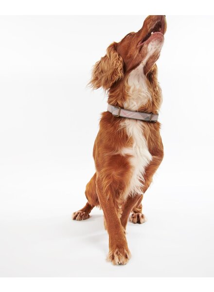 Barbour US for Men & Women Barbour Reflective Dog Collar