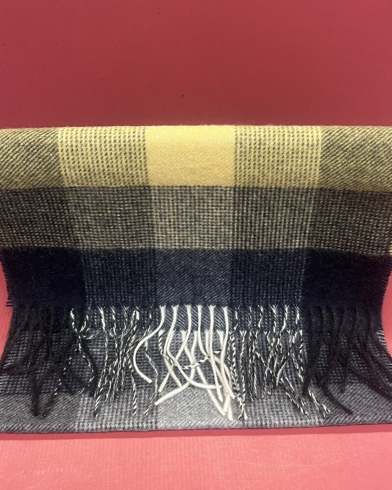 Chelsey Chelsey Imports Cashmere Michigan Color Scarf