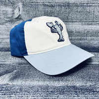 Zephyr The Blue Lobster Scholarship Color Block Hat