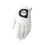 Titleist Titleist Players Men's Regular Left Hand Glove