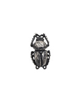 Scarab Beetle Lapel Pin in Oxidized Silver