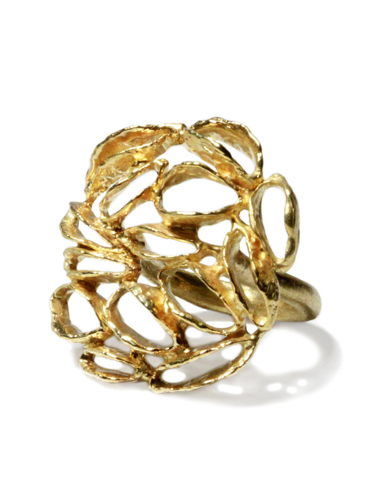 Banksia Medallion Ring in Brass