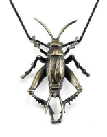 Cricket Pendant in Bronze