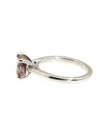 Nick Engel Talon Ring with Salt and Pepper Diamond in Platinum