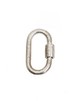 Charm Carabiner in Brushed Silver