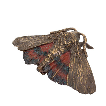 Red Underwing Moth Brooch in Bronze