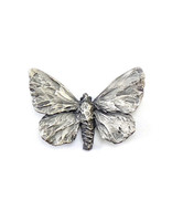 Adonis Butterfly Brooch in Silver