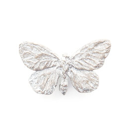 Cabbage White Butterfly Brooch in Bronze