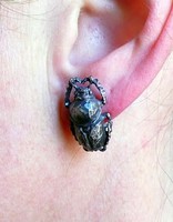 Scarab Beetle Post Earrings in Oxidized Silver