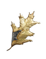 Large Red Oak Leaf with Gall Brooch in Oxidized Silver, Bimetal & 18k Gold