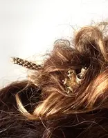 Araucaria Hair Stick in Yellow Bronze