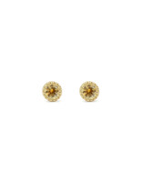 Alice Son 2.5mm Yellow Sapphire Millgrain Post Earrings in 14k Yellow Gold