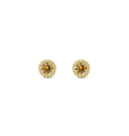 Alice Son 2.5mm Yellow Sapphire Millgrain Post Earrings in 14k Yellow Gold
