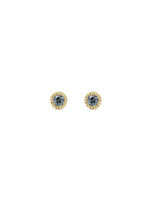 Alice Son 2mm Blue Sapphire Millgrain Post Earrings in 14k Yellow Gold