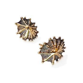 Limpet Post Earrings in 10k Gold with Patina