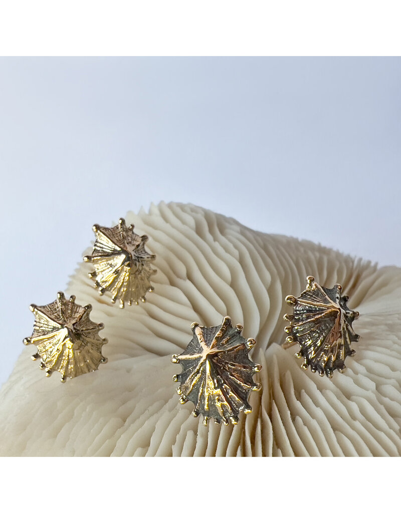 Limpet Post Earrings in 10k Gold with Patina