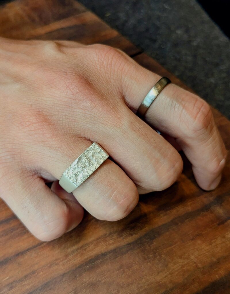 Wide Topography Signet Ring in Brushed Silver