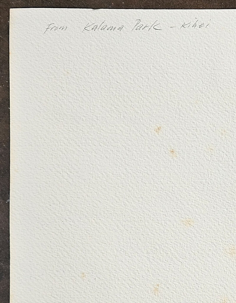 Kenneth Higashimachi Large Watercolor Painting #56