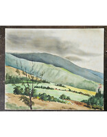 Kenneth Higashimachi Large Watercolor Painting #57