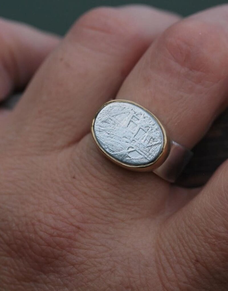 Big Sur Goldsmiths Meteorite Sleek Classic Ring in Silver and 22k Gold