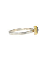 Sam Woehrmann Grey Rose Cut Diamond Tablet Ring in Silver & 22k Gold