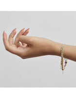2-Tone Bare Chain Bracelet in Faded & Spectrum