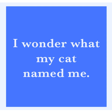 Drinks on Me Coaster Cat Named Me