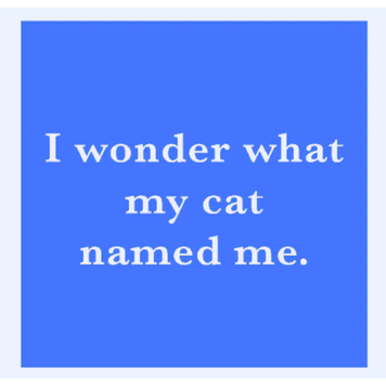 Drinks on Me Coaster Cat Named Me