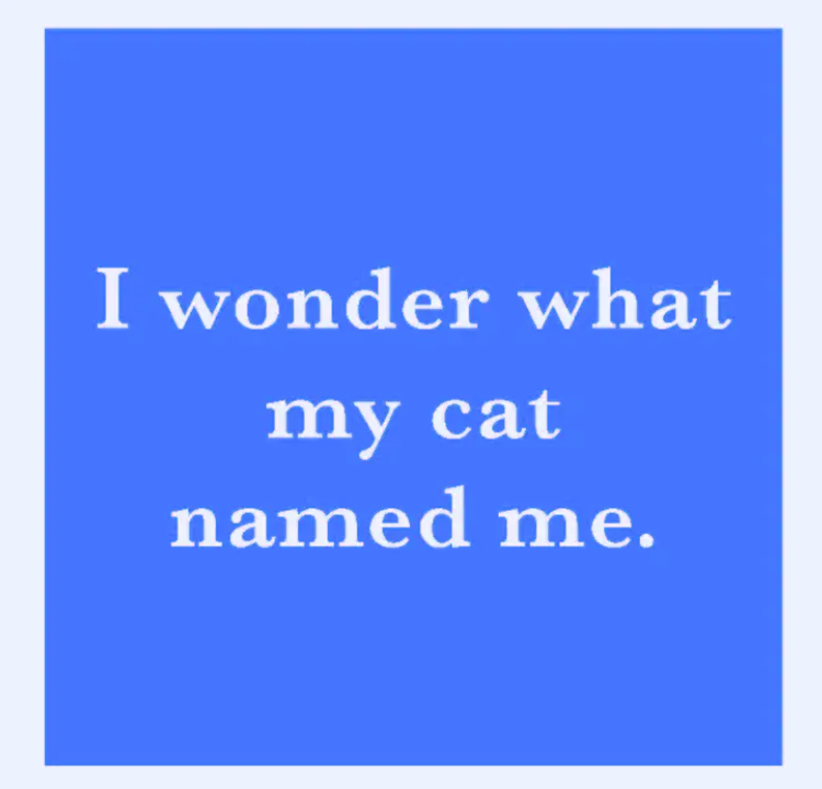 Drinks on Me Coaster Cat Named Me