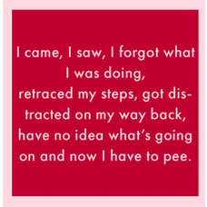 Drinks on Me I Came I Saw Coaster