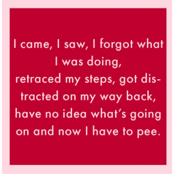 Drinks on Me I Came I Saw Coaster