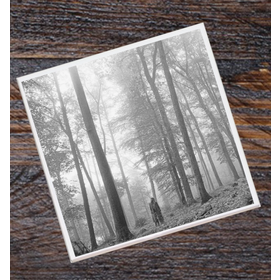 Lucky Mfg. Co. Taylor Swift Album Cover Coaster - Folklore