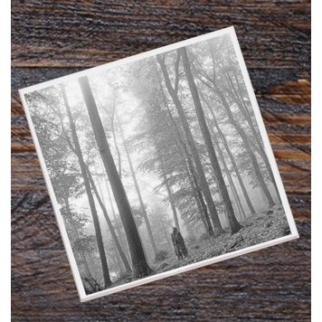 Lucky Mfg. Co. Taylor Swift Album Cover Coaster - Folklore