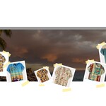 Hawaiian Shirts Men & Womens