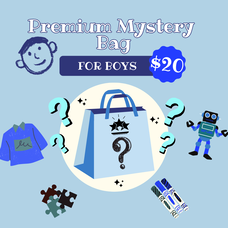$20 Boys Premium Mystery Bag